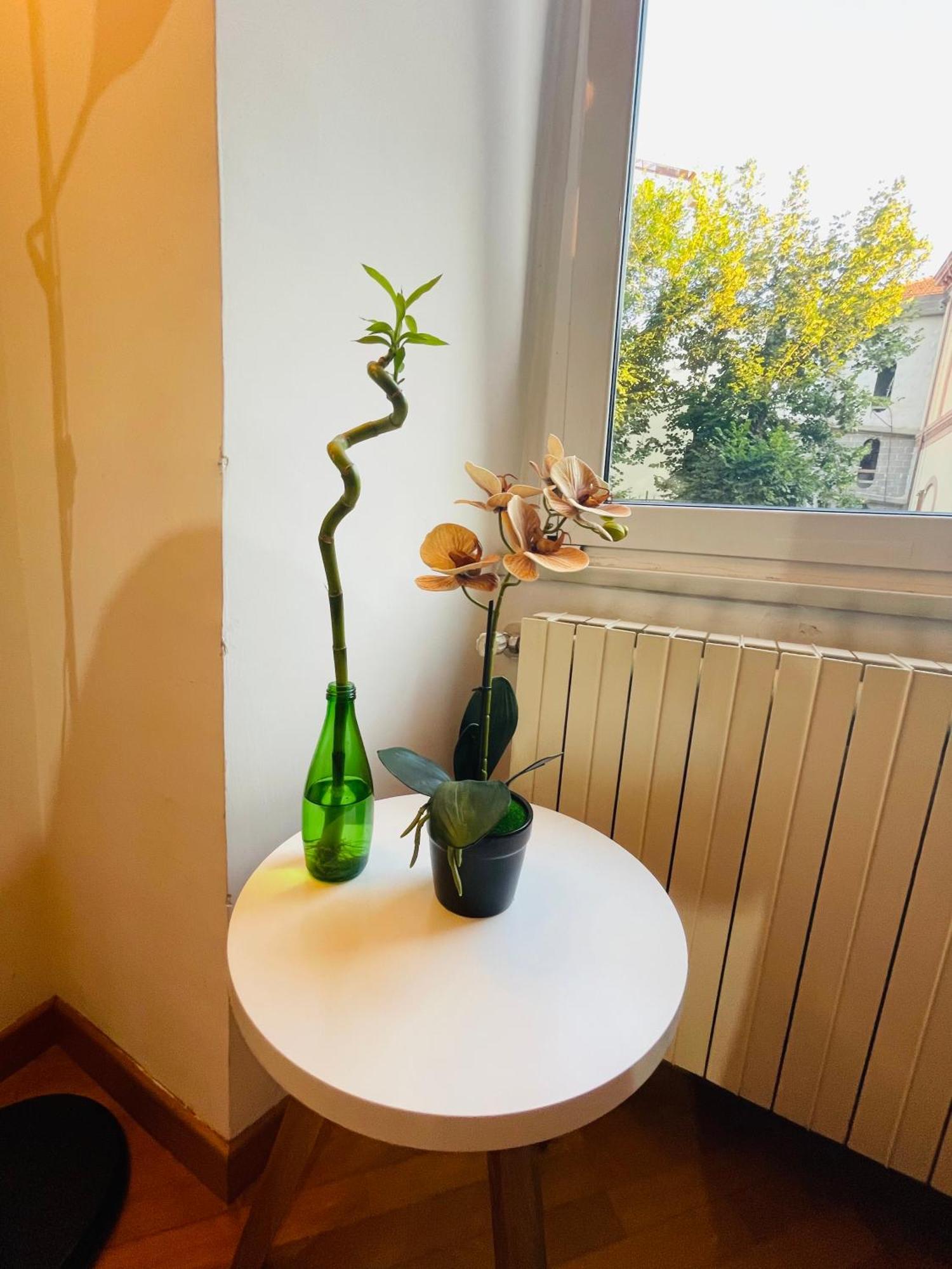 Holiday Colosseum Rome Bed & Breakfast Bagian luar foto