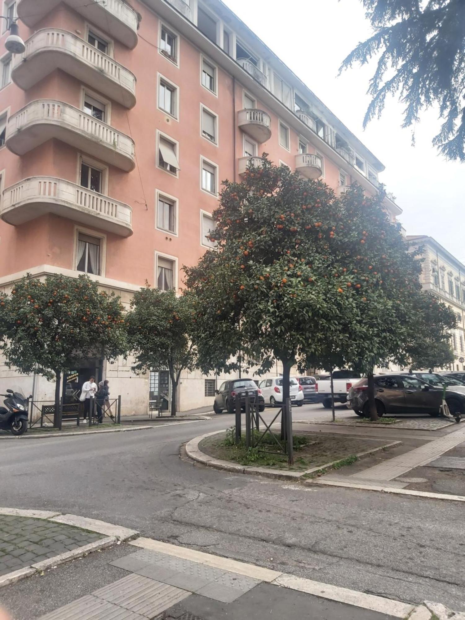 Holiday Colosseum Rome Bed & Breakfast Bagian luar foto